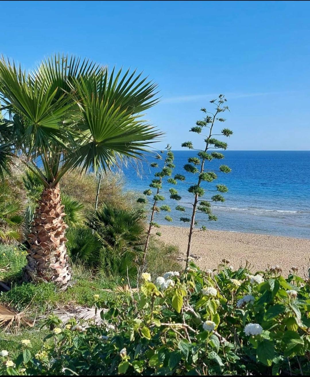 Villa Sul Mare Don Toto' 阿沃拉 外观 照片